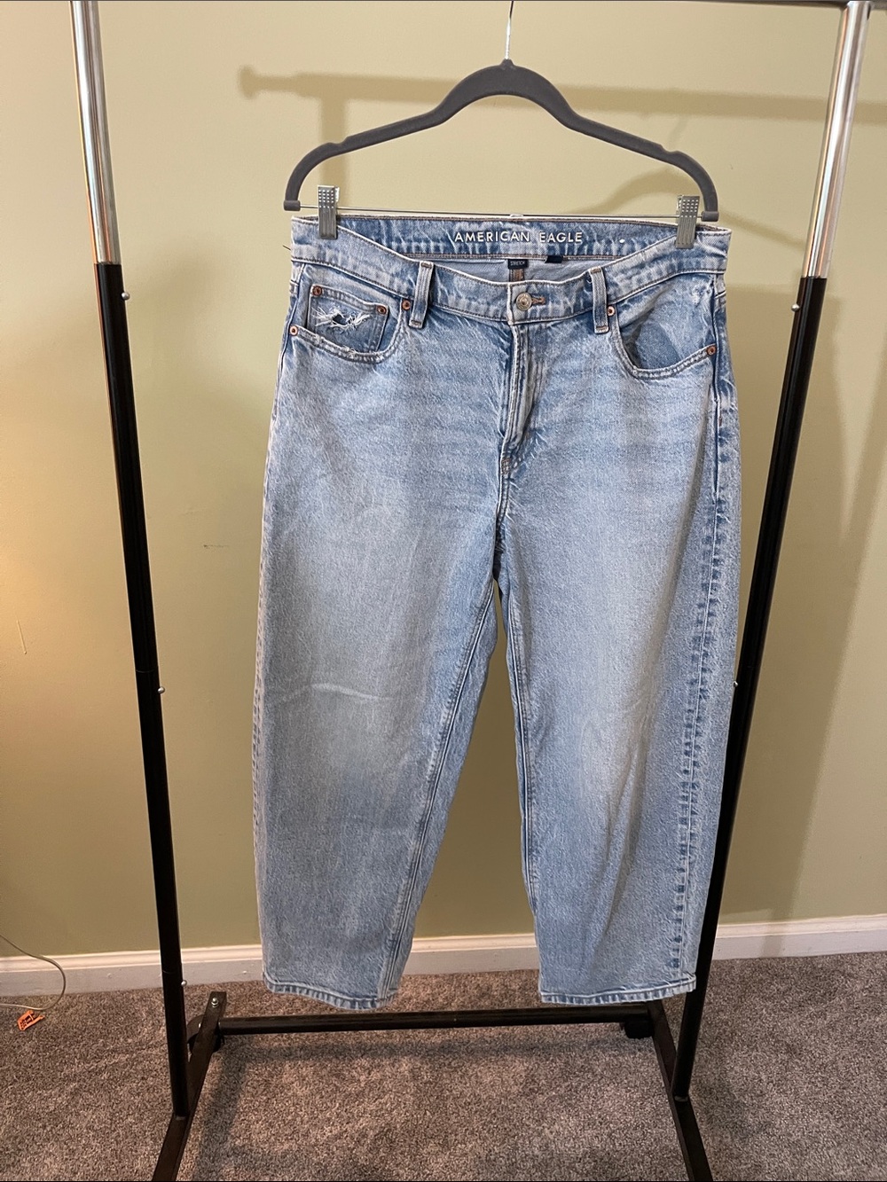 American Eagle Outfitters Low Rise Baggy Barrel Jeans